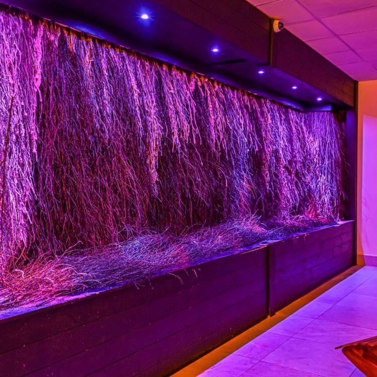 רומיה Hotel Business Faltom Gdynia מראה חיצוני תמונה